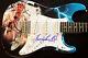 Christopher Lloyd Signed Guitar Back To The Future Custom Wrapped Art! Beckett