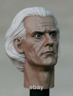 Painted/ Doctor Emmet Brown/ Christopher Lloyd/ The Back to The Future head 1/6